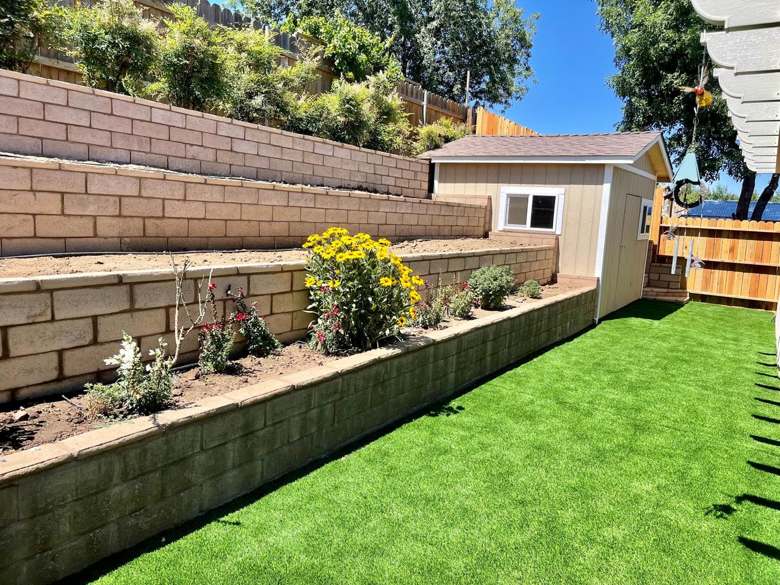Tiered brick retaining wall with yellow flowers, a tan shed, and artificial green grass.